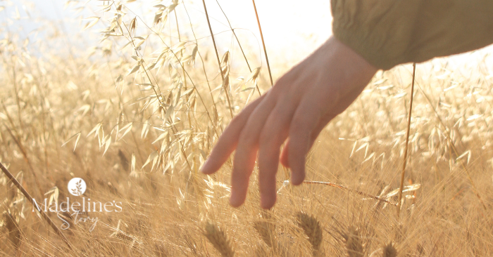 A hand gently touching tall grass in a sunlit field, symbolizing reflection, presence, and a quiet moment of connection and peace.